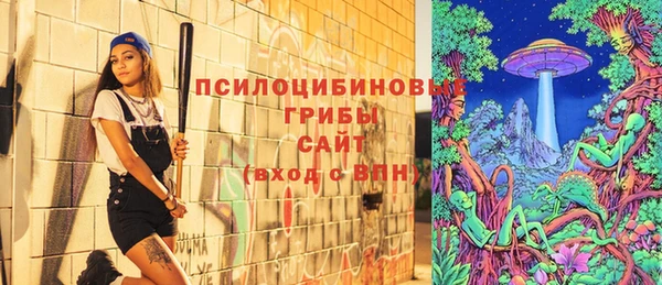 ПСИЛОЦИБИНОВЫЕ ГРИБЫ Ладушкин