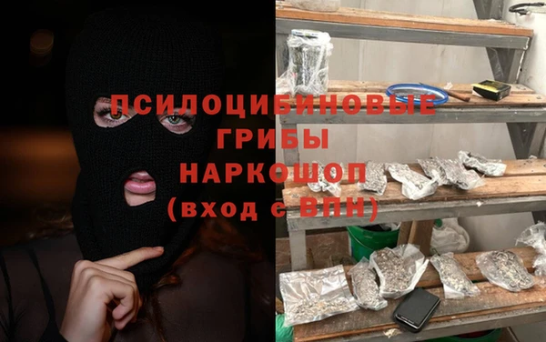 соль ск Лабытнанги